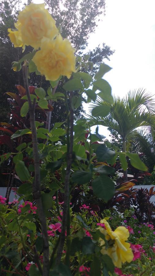 Sun Suites Cozumel